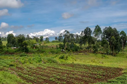 Alerte de la société civile sur la vente illégale de terres par des ressortissants Rwandais