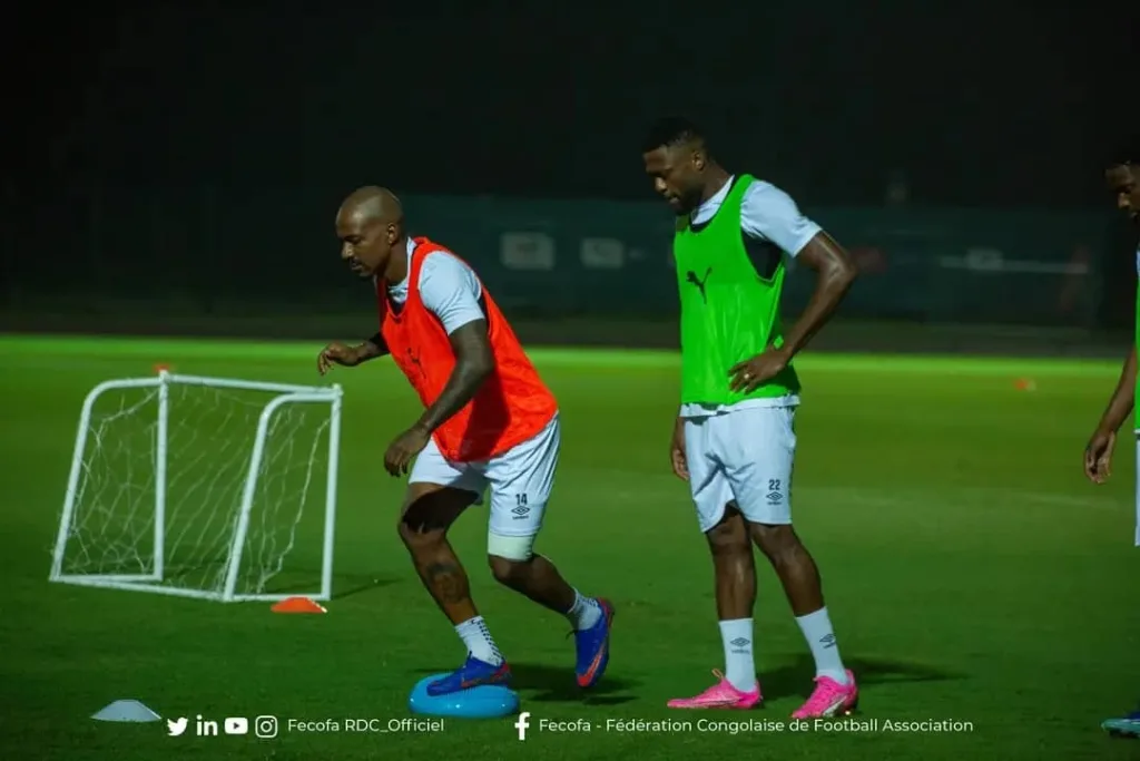 Gaël Kakuka est de retour dans l'effectif des Léopards