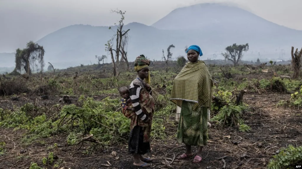 Affrontements entre les rebelles du M23-RDF et les groupes d'autodéfense Wazalendo à Nyamitaba