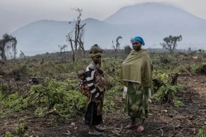 Affrontements entre les rebelles du M23-RDF et les groupes d'autodéfense Wazalendo à Nyamitaba