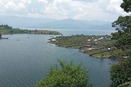 Le Conseil Territorial de la Jeunesse de Masisi alerte sur l'existence d'un réseau mafieux visant à déstabiliser les propriétaires des parcelles à Nzulo