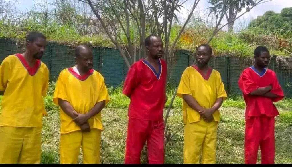 5 personnes, dont deux députés provinciaux du Nord-Kivu, impliquées activement dans le recrutement et le ravitaillement des M23