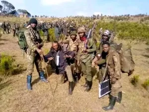 Nord-Kivu : Les coulisses de la criminalité à Goma révélées par les VDP-RDC/Wazalendo Les coulisses de la criminalité à Goma révélées par les VDP-RDC/Wazalendo