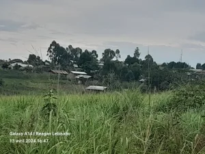 Un homme porté disparu à Mangusu, zone sous contrôle des miliciens de la FPIC
