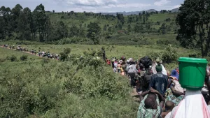 Une série de massacres perpétrés par les RDF M23 a plongé la région de Nyanzale, située dans la chefferie de Bwito