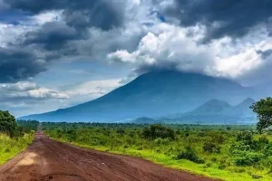 La société civile alerte sur la concentration des activités des rebelles RDF-M23 dans le Parc National des Virunga