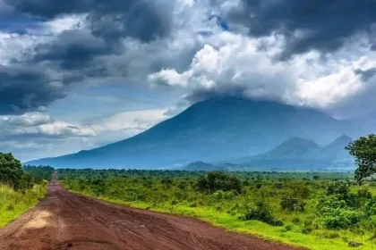 La société civile alerte sur la concentration des activités des rebelles RDF-M23 dans le Parc National des Virunga