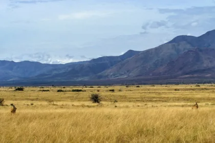 Reprise des affrontements opposant les FARDC aux terroristes du M23-RDF sur l'axe Rwindi