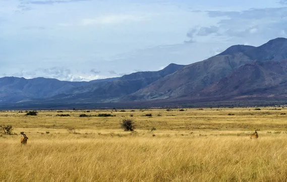 Reprise des affrontements opposant les FARDC aux terroristes du M23-RDF sur l'axe Rwindi