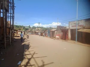 paral