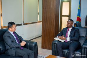 Kinshasa : La RDC et la Chine renforcent leur coopération dans le domaine énergétique La RDC et la Chine renforcent leur coopération dans le domaine énergétique