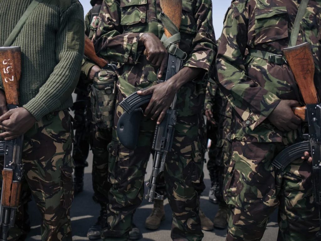 65 rebelles M23/RDF neutralisés, dont un officier supérieur, lors des bombardements des positions ennemies par les forces de la SAMIRDC