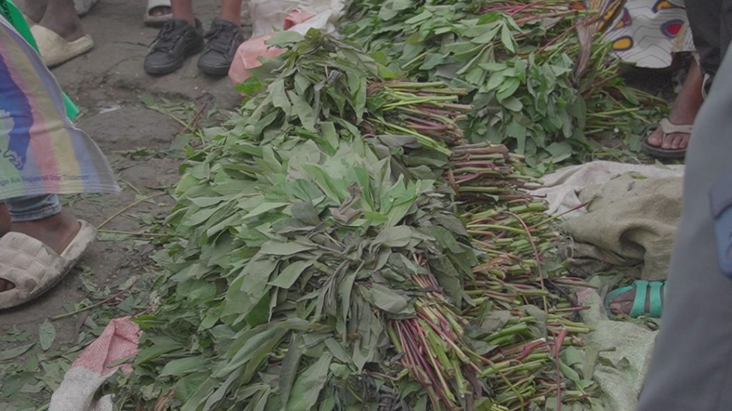 La détérioration de la route Goma-Masisi, un vrai casse-tête pour les commerçants de feuilles de manioc