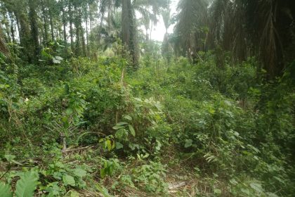 8 corps de civils décapités retrouvés dans un village en territoire d'Irumu