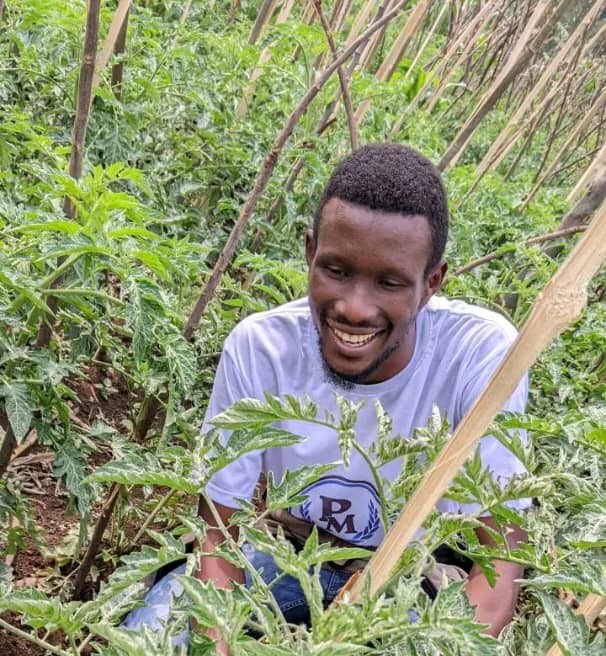 Un potentiel agricole sous-exploité, la production de tomates en difficulté