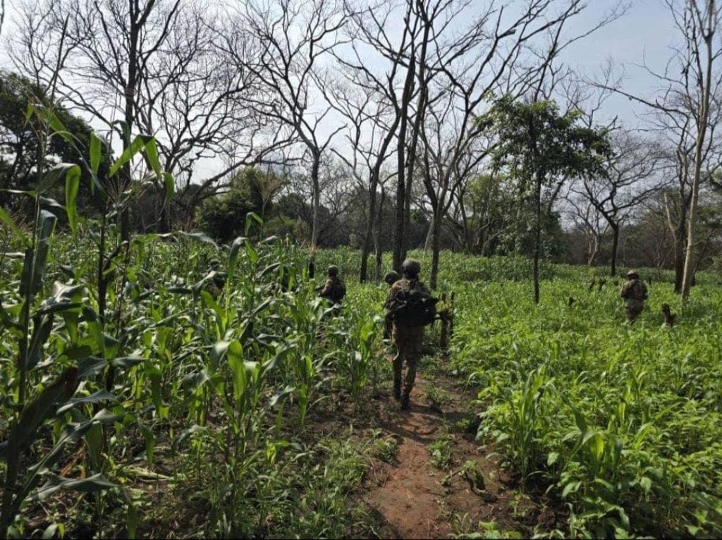 L'armée ougandaise annonce des opérations contre les camps de Joseph Kony de la LRA