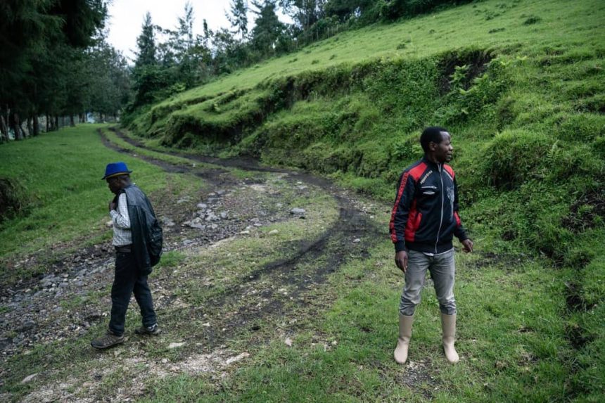 Deux Wazalendo périssent dans une attaque armée à Kaniro