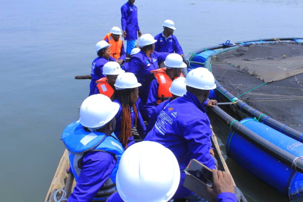 Un projet d'aquaculture financé par la Monusco pour remédier au recrutement des jeunes au sein des groupes armés à Djugu