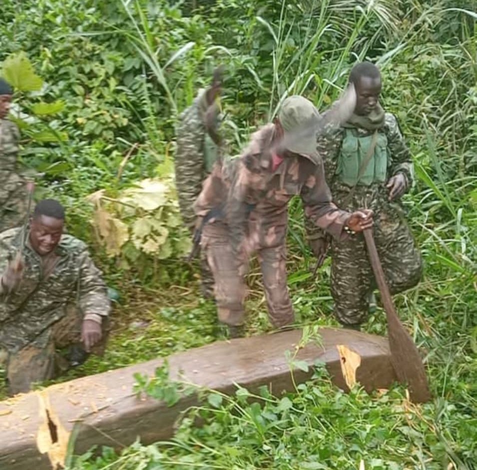 Deux autres leaders du mouvement terroriste ADF neutralisés par la coalition FARDC-UPDF