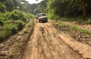 Un otage s'échappe des mains des combattants de l'ADF grâce à la pression de la coalition FARDC-UPDF