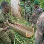 La coalition FARDC-UPDF neutralise deux combattants ADF opérant dans l'espace lacustre de la rivière Ituri