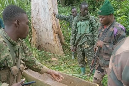 La coalition FARDC-UPDF neutralise deux combattants ADF opérant dans l'espace lacustre de la rivière Ituri