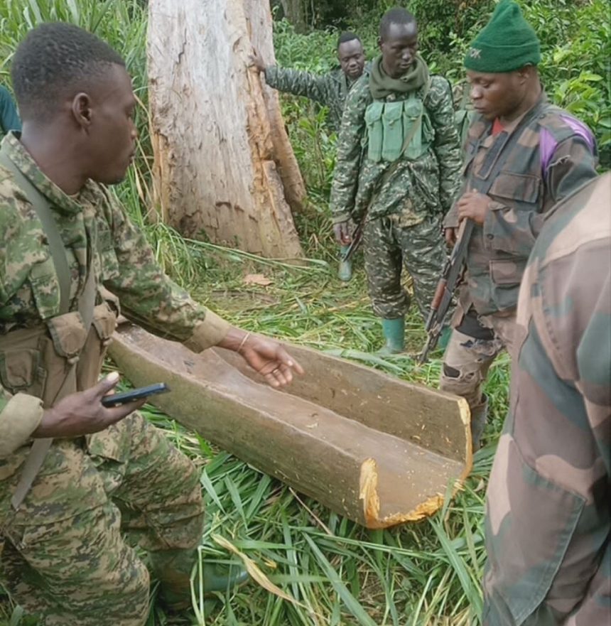 La coalition FARDC-UPDF neutralise deux combattants ADF opérant dans l'espace lacustre de la rivière Ituri