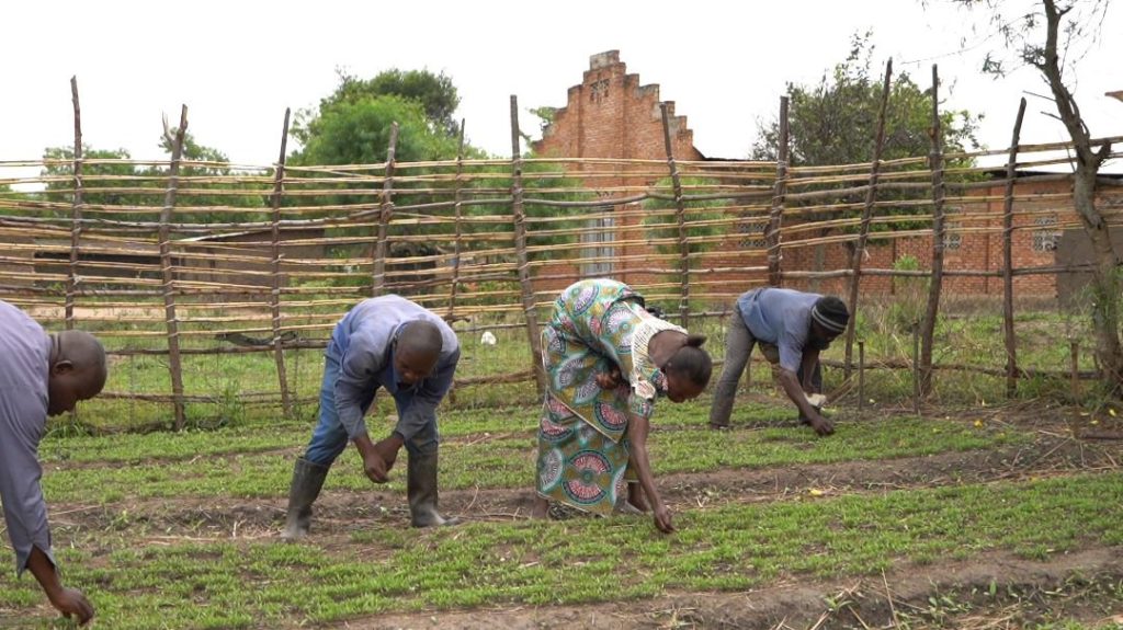 La culture du piment boostée par l’accompagnement d’Agriterra et des institutions locales