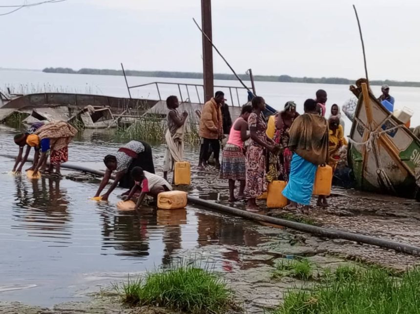 Une jeune fille gravement blessée lors d'une attaque de crocodile du Nil à Vitshumbi