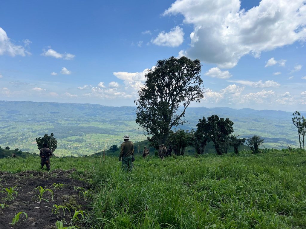 Des violents affrontements signalés entre la coalition FARDC-Wazalendo et les rebelles du M23 à Bihendu