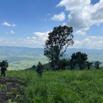 Des violents affrontements signalés entre la coalition FARDC-Wazalendo et les rebelles du M23 à Bihendu