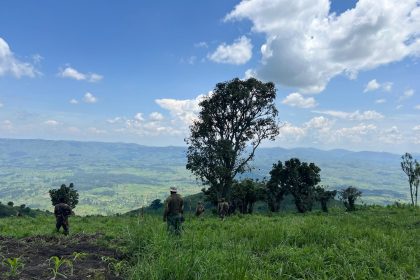 Des violents affrontements signalés entre la coalition FARDC-Wazalendo et les rebelles du M23 à Bihendu