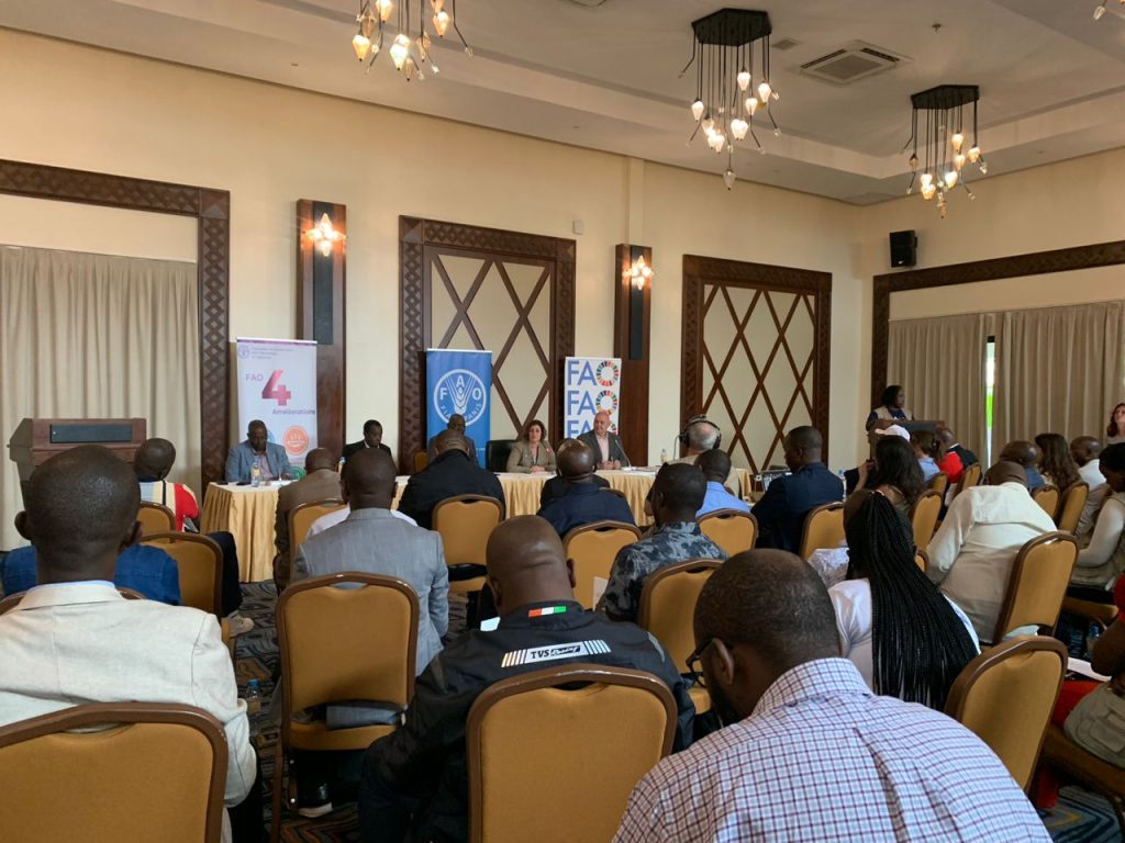 La FAO appelle à prioriser l'agriculture pour soutenir les personnes déplacées