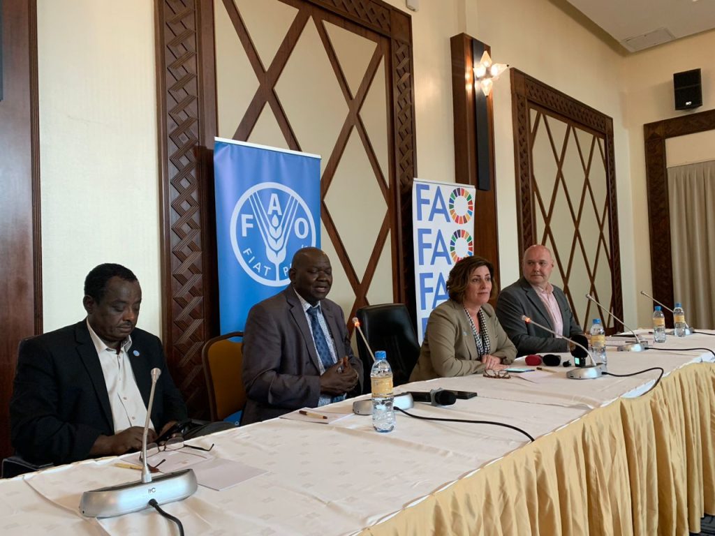 La FAO appelle à prioriser l'agriculture pour soutenir les personnes déplacées