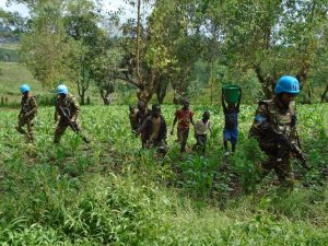 Grâce aux casques bleus de la Monusco, les populations d’une quarantaine de villages accédent à leurs champs