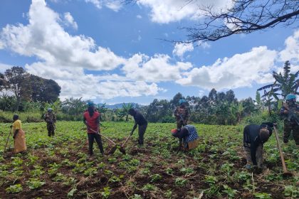 Grâce aux casques bleus de la Monusco, les populations d’une quarantaine de villages accédent à leurs champs