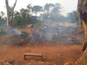 Mambasa : Trois morts dans des accrochages FARDC - Wazalendo Trois morts dans des accrochages FARDC - Wazalendo