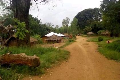 Un homme assassiné par une arme blanche dans un champs de cacao