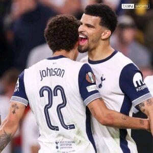 Tottenham remporte le trophée et met fin à 17 ans de disette