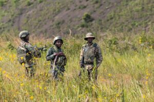 Les FARDC accusent l'AFC-M23 d'attaques à Masisi et Kalehe