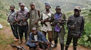 Violents affrontements entre la coalition Wazalendo–FDLR et les rebelles de l’AFC-M23 dans le parc des Virunga, près de Tongo