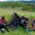 Un haut responsable de Twirwaneho tué dans une frappe de drones des FARDC