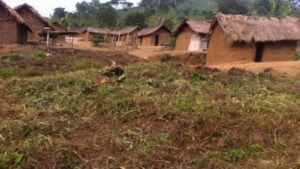 3 morts et plusieurs civils blessés dans une attaque des ADF à Idohu