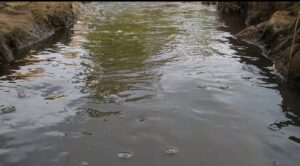 Au moins 15 personnes emportées dans une inondation à Beni