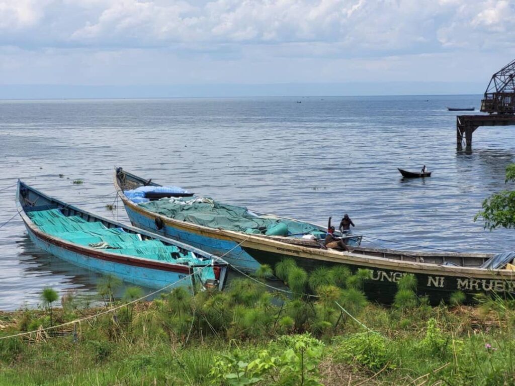 Tensions intensifiées à Tchomia entre FARDC et rebelles CRP après des combats à Nyamamba