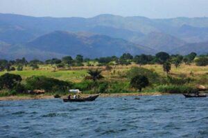 Tensions intensifiées à Tchomia entre FARDC et rebelles CRP après des combats à Nyamamba