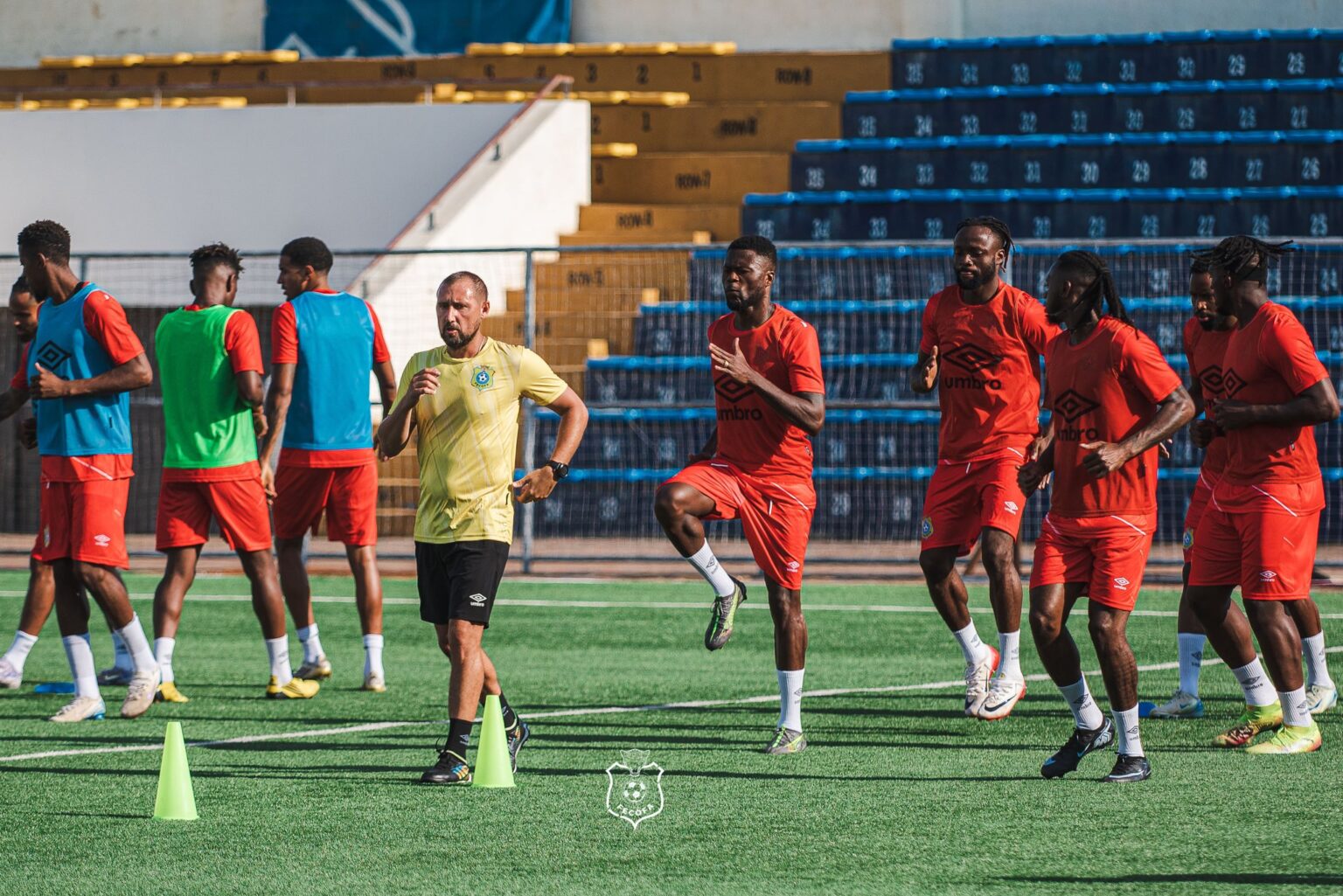 Les léopards en pleine forme pour défier le Soudan du Sud