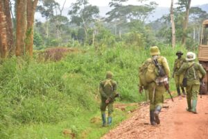 Tensions entre écogardes et agriculteurs après la destruction des champs à Mayangose