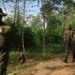 Deux personnes blessées dans des combats entre les miliciens de la CRP et de la CODECO à Jina