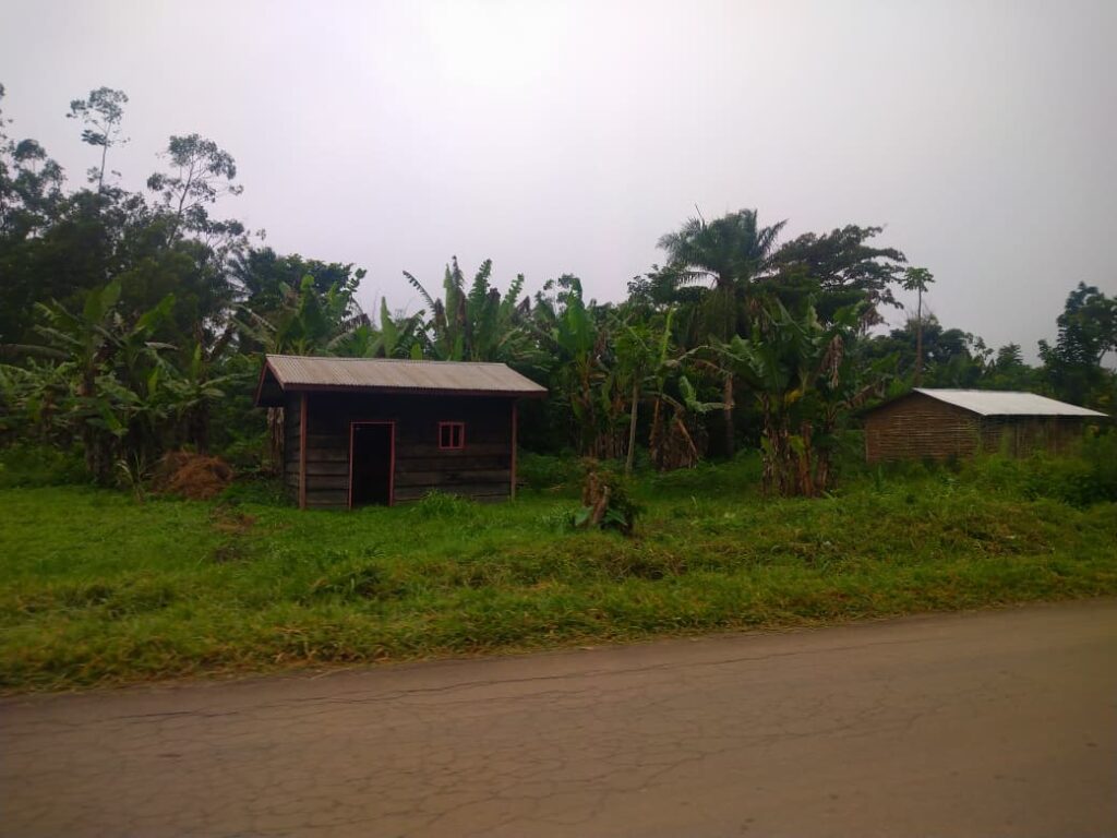 Beni : Les forces vives alertent sur le mouvement suspect de l’ADF près de Mayimoya Les forces vives alertent sur le mouvement suspect de l'ADF près de Mayimoya